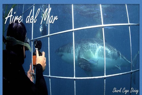 Aire Del Mar Gastehuis