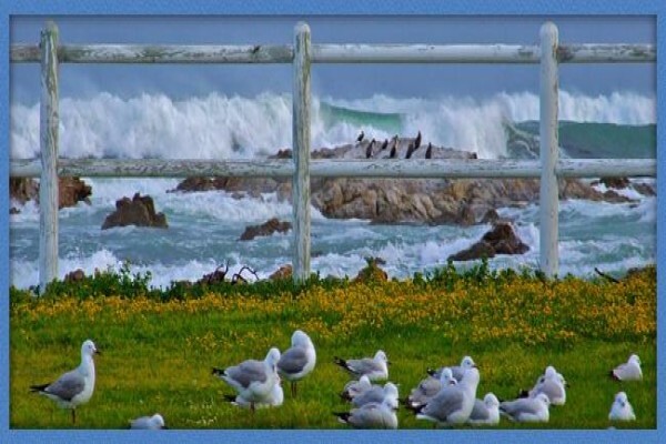 Aire Del Mar Gastehuis