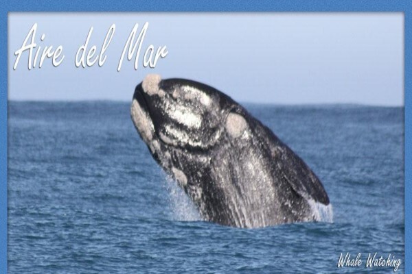 Aire Del Mar Gastehuis