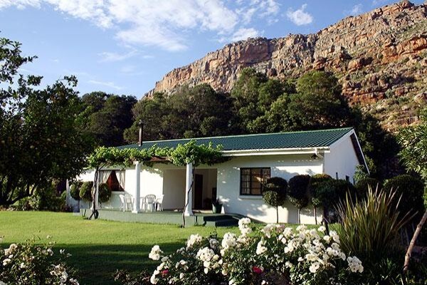Kunje Farm & Guest House