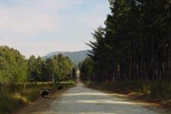 Croft Guest Cottages The