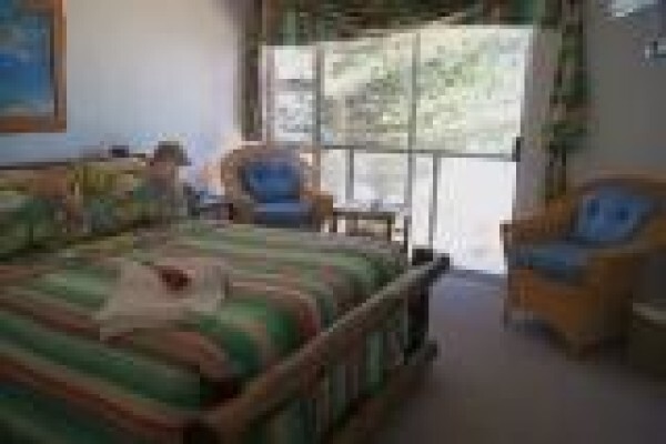 Sea Otters Lodge