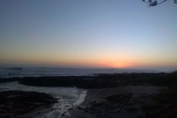 Sea Otters Lodge