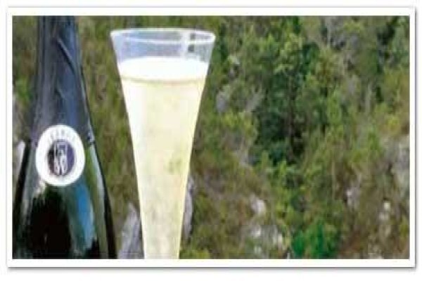 Fynbos Ridge