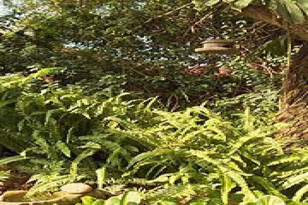 Natanja Guesthouse B & B