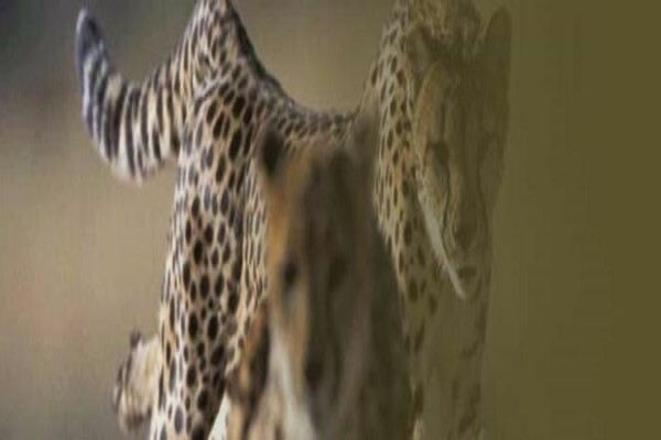 Witwater Guesthouse & Spa