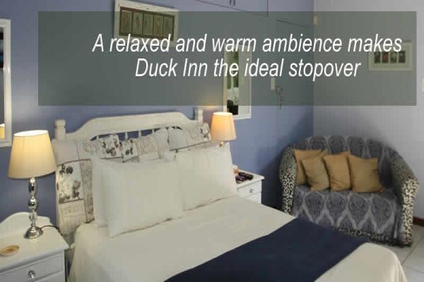 Duck Inn Bed & Breakfast