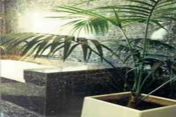 Falcon's Rest Guest Lodge
