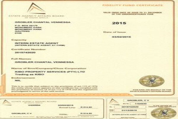 Kibo Property Services