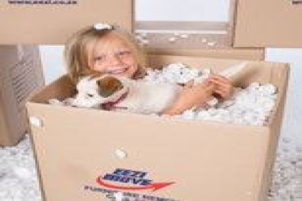 Eezi Movers
