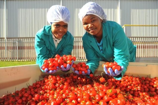 Eastern Cape Development Corp