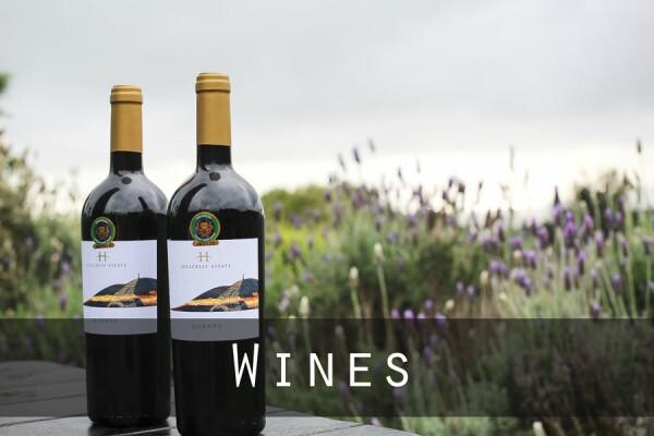 Hillcrest Estate (Durbanville) (Pty) Ltd