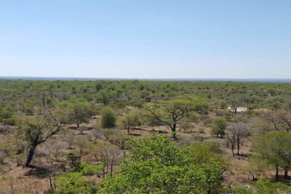 Radio (Bushbuckridge)