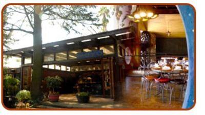 Moyo