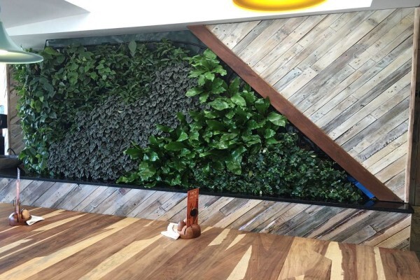 Execuflora (Pty) Ltd