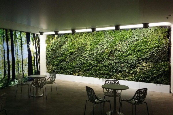 Execuflora (Pty) Ltd