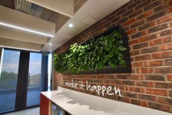 Execuflora (Pty) Ltd