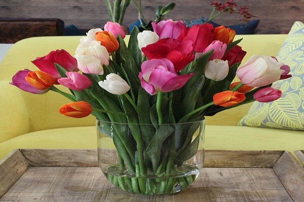 Execuflora (Pty) Ltd