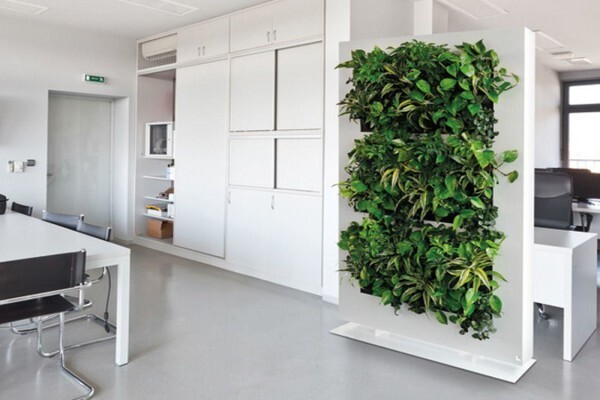 Execuflora (Pty) Ltd