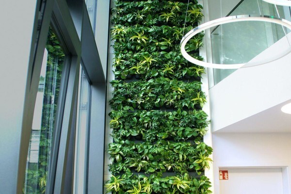 Execuflora (Pty) Ltd
