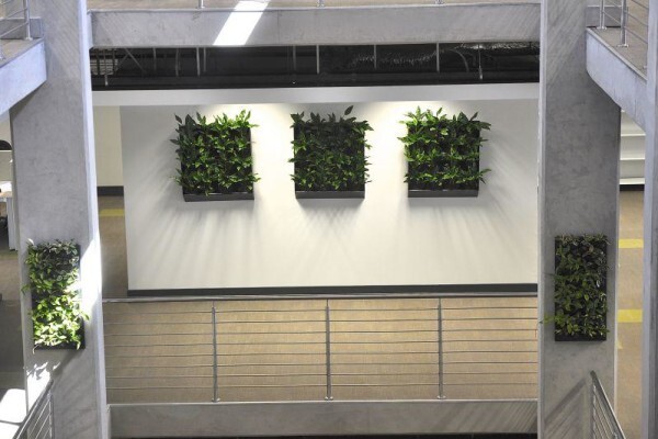Execuflora (Pty) Ltd