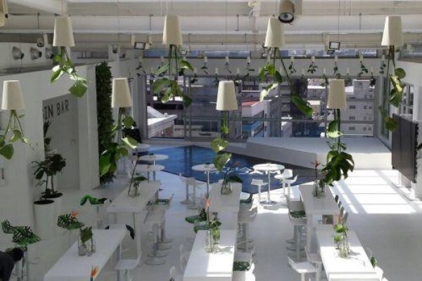Execuflora (Pty) Ltd