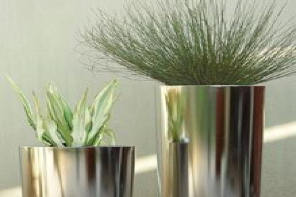 Tekweni Plants