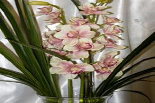 Tekweni Plants