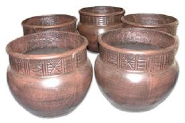 Tekweni Plants