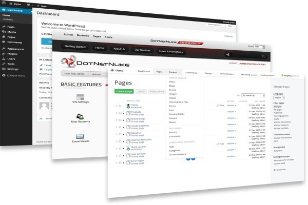 Nedoweb