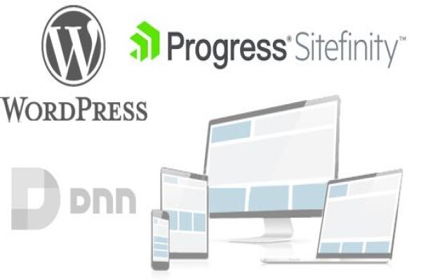 Nedoweb