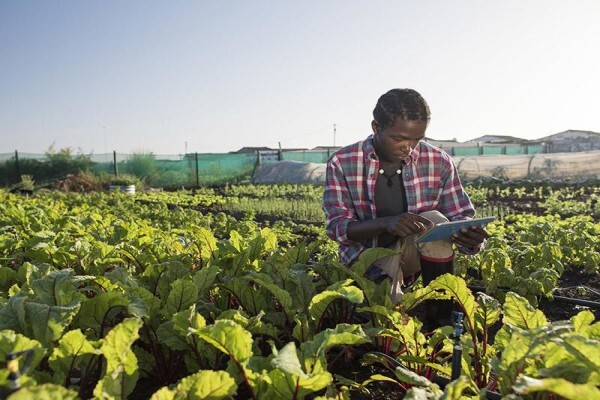 Actis Africa Ltd
