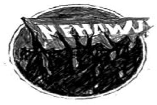 Nehawu Investment Co (Pty) Ltd