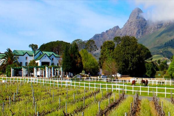 Avontuur Estate (Pty) Ltd
