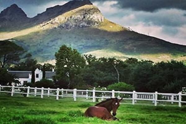 Avontuur Estate (Pty) Ltd
