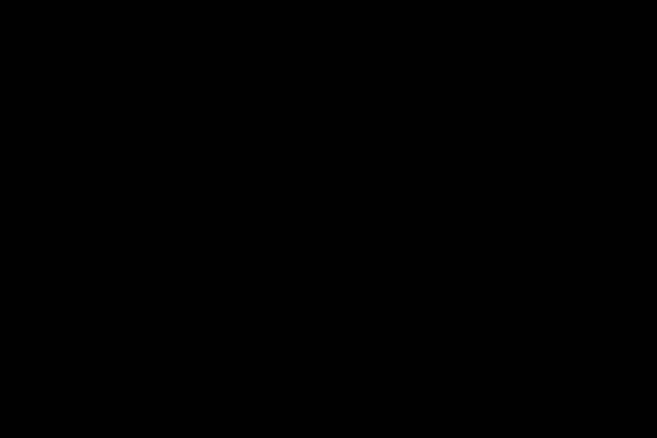 Swift International Personnel Administration