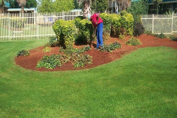 Monyetla Services (Pty) Ltd
