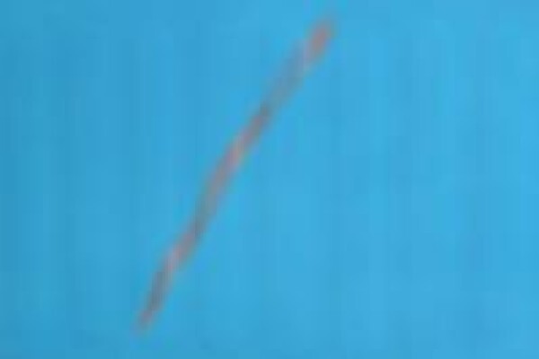 Twilight Powder Coatings
