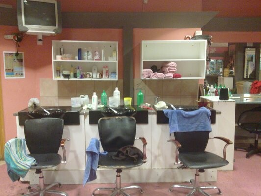 Professional Hair Salon