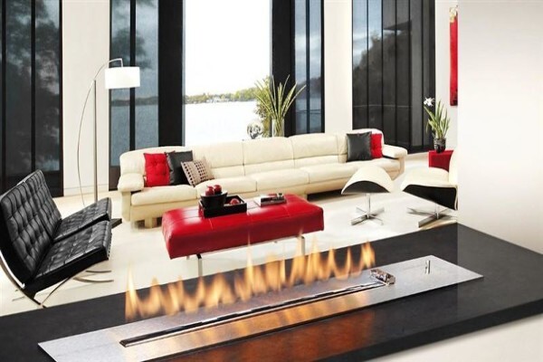 The Haus