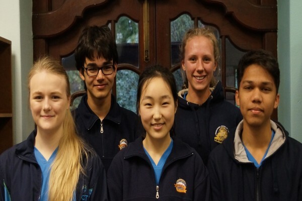 International School Of Cape Town