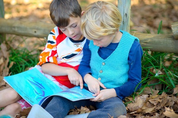 Roseway Waldorf School The