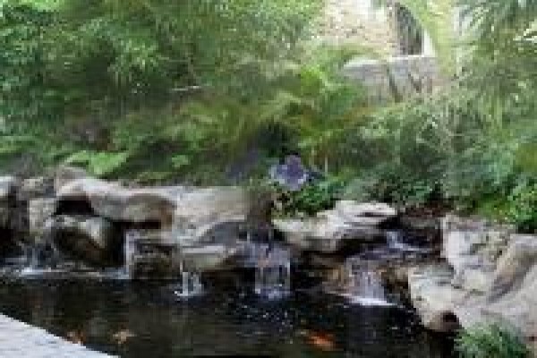 Artistic Rock Creations