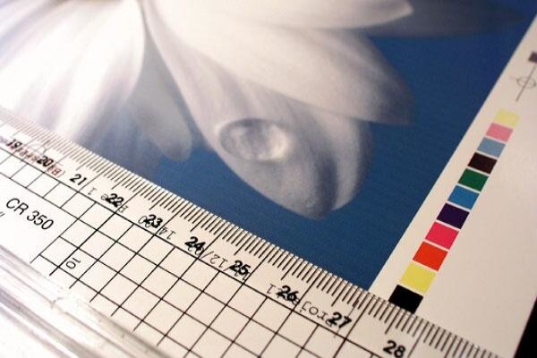 Cadar Printers