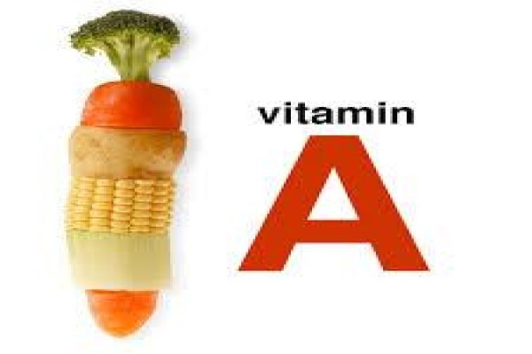 Health Equilibrium