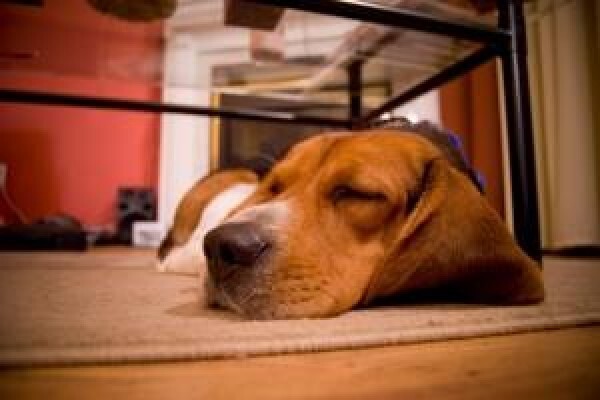 Heatwaves Floor Heating