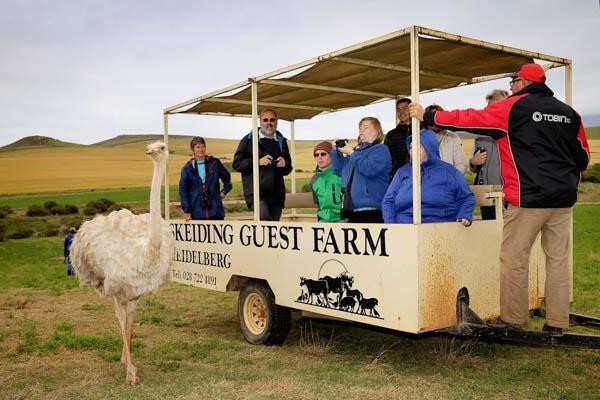 Skeiding Guest Farm