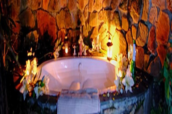 Forest Creek Lodge