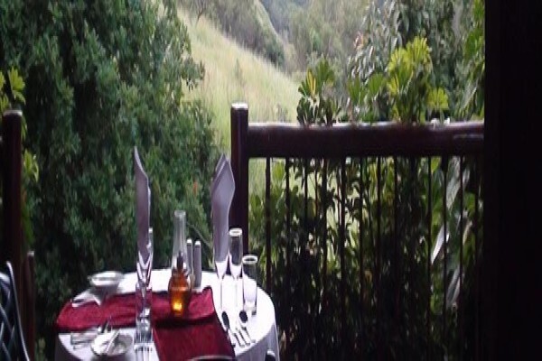Forest Creek Lodge