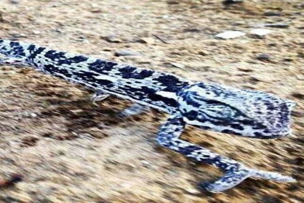 Khumula Game Lodge